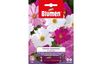 SAMEN MAUSER Cosmea Sensazione Mix