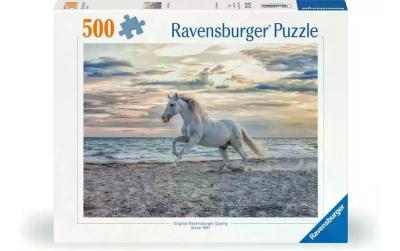 Puzzle Pferd am Strand