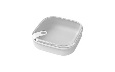 Rotho Lunchbox flach 1 l ELA