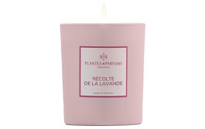 PLANTES & PARFUMS Duftkerze 180gr
