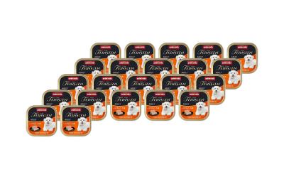 Animonda Dog vom Feinsten Adult 22x150g Kit