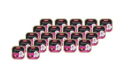 Animonda Dog vom Feinsten Adult 22x150g Kit