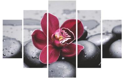 Wallxpert Bild Orchidee 5-teilig