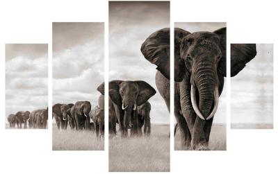 Wallxpert Bild Elefanten 5-teilig