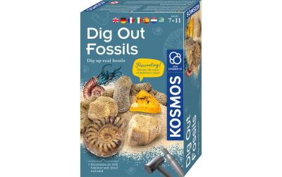 Fossilien INT