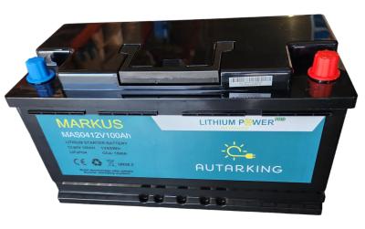 Autarking Markus Li Batterie 12.8V 100Ah