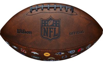 Wilson Football NFL Throwback 32 Team Logo