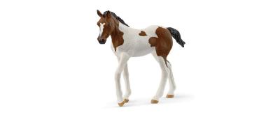 Schleich Paint Horse Fohlen