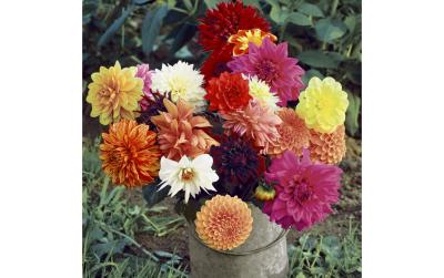 Paper + Design Servietten Floral Magic