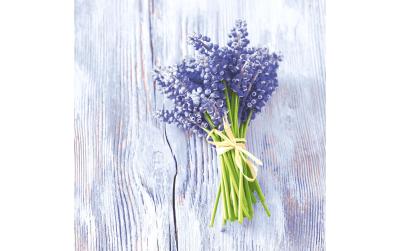 Paper + Design Servietten Muscari bundle