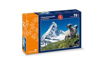 Schwarznasenschaffe beim Matterhorn