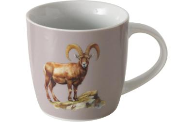 Boltze Tasse Poldie