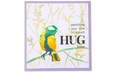 Sizzix Stempel Set Schablone Vogel & Äste