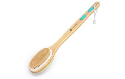 Dusch- und Badebürste