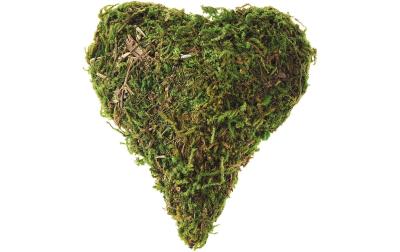 Opiflor Mossherz Grini, bauchig
