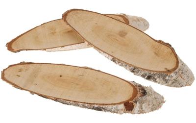 Opiflor Holzscheibe Birke oval