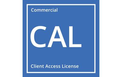 Microsoft Windows Server 2025, DELL ROK