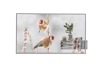 LG 55EW5P-M Public OLED Display