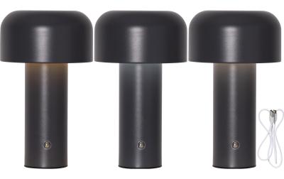 Star Trading Akkuleuchte Bobby