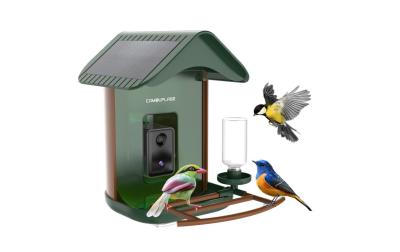 Camouflage EZ BirdFeed 1