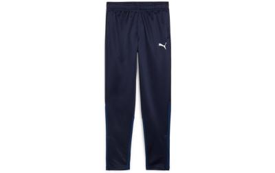 PUMA Pant teamGOAL Training Jr