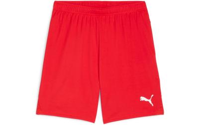 PUMA Shorts teamGOAL