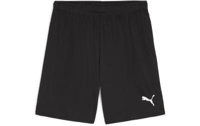 PUMA Shorts teamGOAL