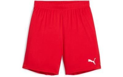 PUMA Shorts teamGOAL Jr