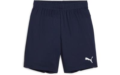 PUMA Shorts teamGOAL Jr