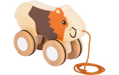 Nachziehtier Meerschweinchen