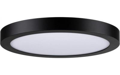 Paulmann LED Panel Abia rund 300mm