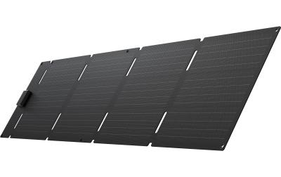 EcoFlow 60W Tragbares Solarpanel (Type-C)