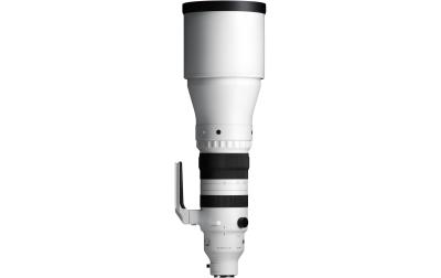 Sigma 300-600mm f / 4.0 DG OS So FE