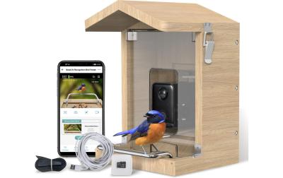 Sanilu Vogelfutterhaus mit Kamera