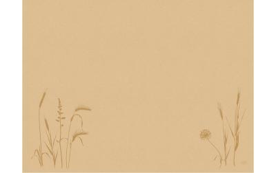 Duni Tischset Bio DC Meadow natura