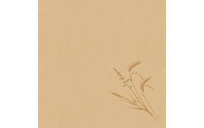 Duni Servietten Bio DSF Meadow natura