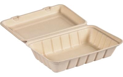 Biopak Box Hinged Bagasse braun