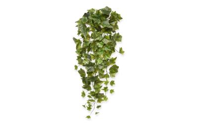 Botanic-Haus Efeu Hängepflanze 65 cm