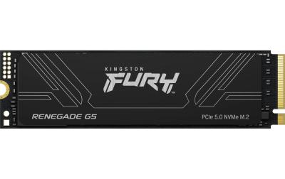SSD Kingston FURY Renegade G5 1TB