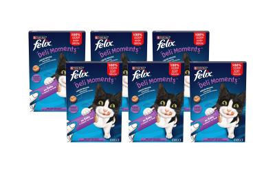 Felix Deli Moments Ente 6x 4x10g KIT