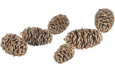 COCON Erlenzapfen, Box à 150g