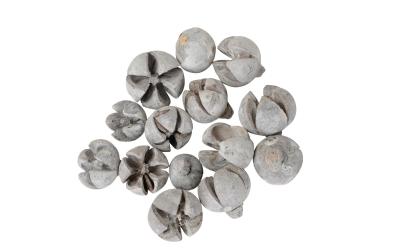 COCON Fruchtkapsel, Netz à 200g