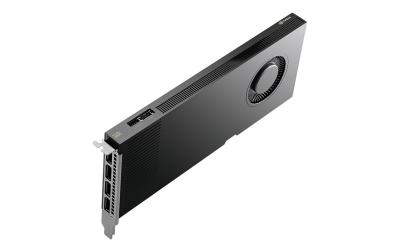 PNY Nvidia RTX Pro 4000 BW, 24GB, GDDR7