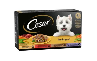 Cesar Landküche Vielfalt Sauce 4x150g