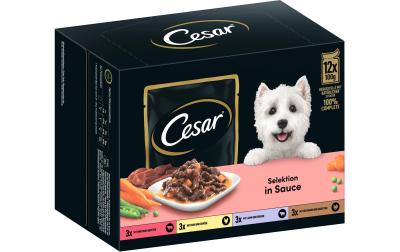 Cesar Pouch in Sauce Adult Selection