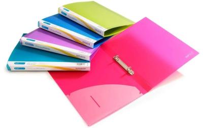 Rapesco A4 2-Ring Ordner 10 Stk.