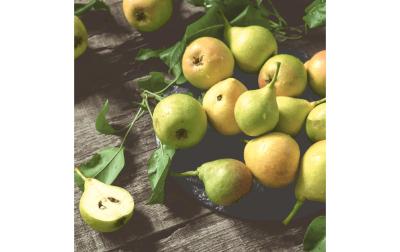 Paper + Design Servietten Birnen