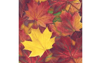 Paper + Design Servietten Herbstbl&auml;tter