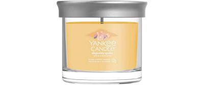 Yankee Candle Slopeside Spritz