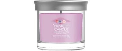 Yankee Candle Summit Stargazing